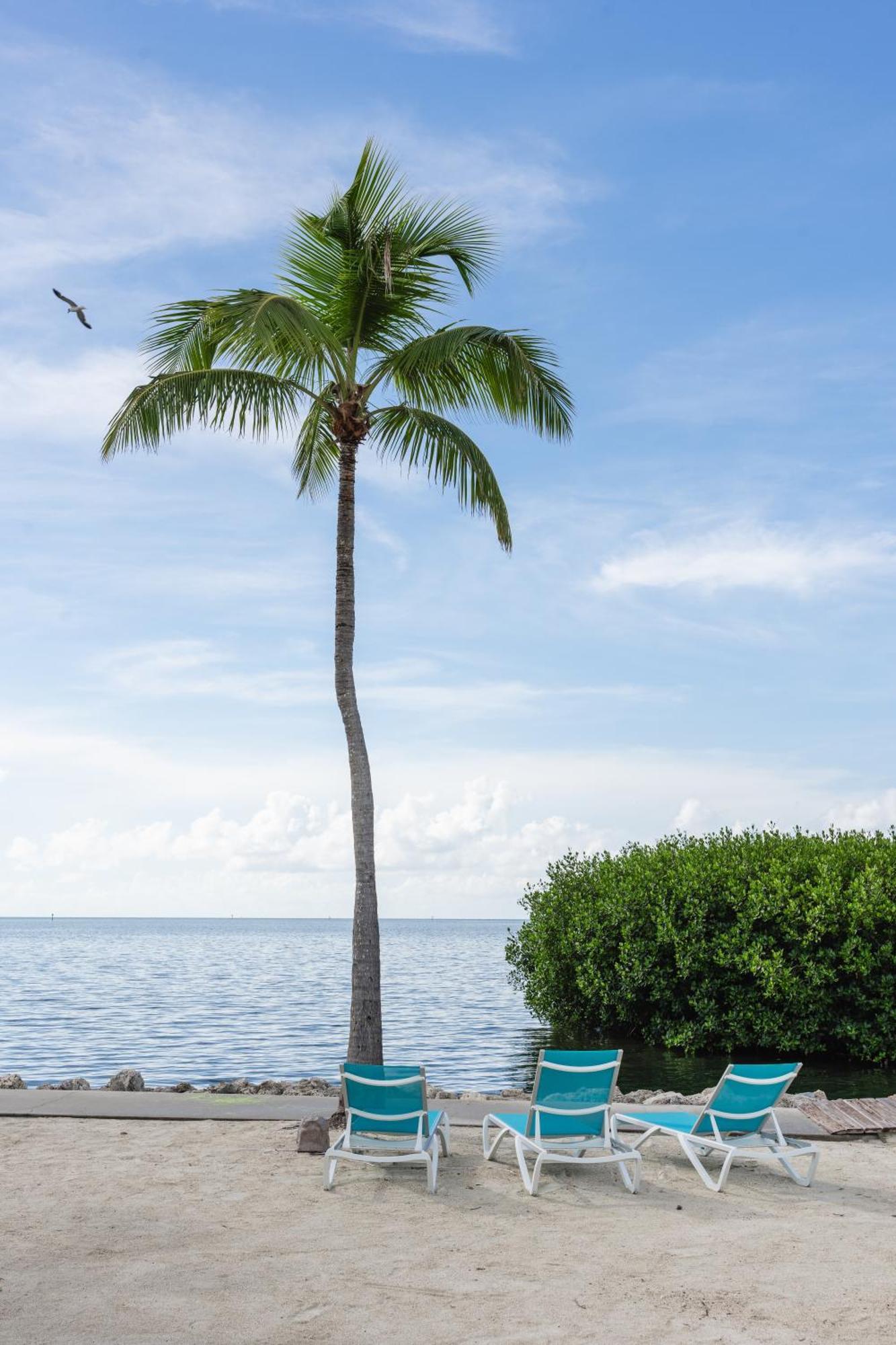 Fisher Inn Resort & Marina Islamorada Eksteriør bilde